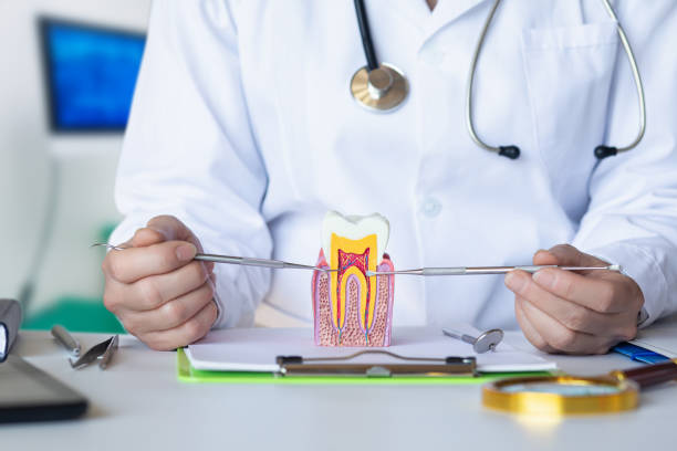 Best Emergency Root Canal Treatment in Luther, OK